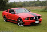 Ford Mustang GT Shelby
