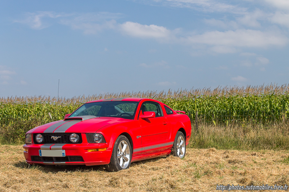 Ford_Mustang_GT_4