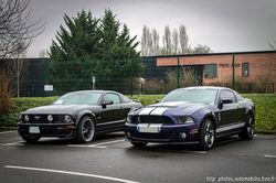 Ford Mustang Shelby GT500 & Mustang GT